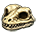 Frog Skull