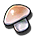 Underground Mushroom