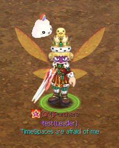 Drone TimeSpace reward preview